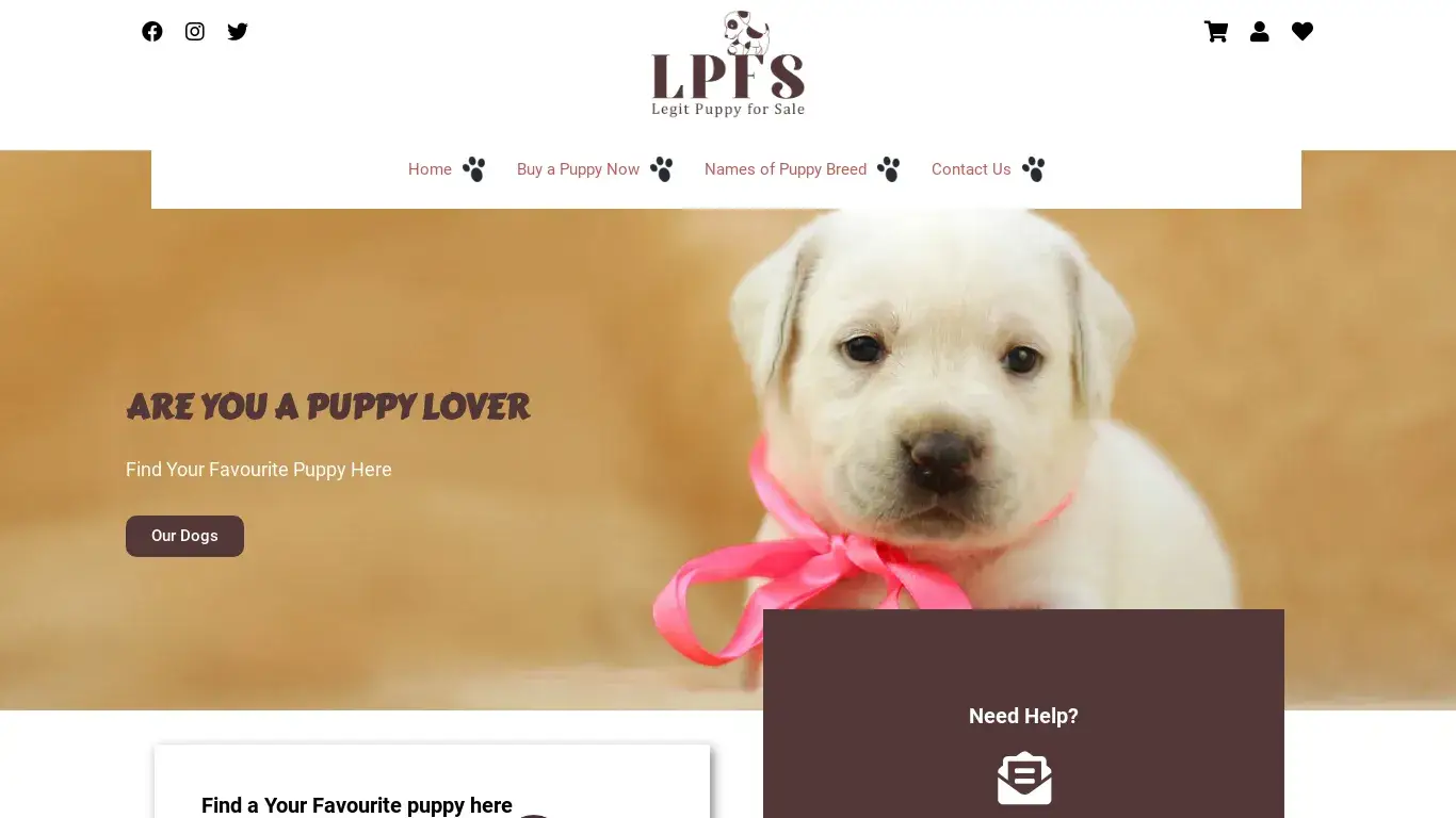 is Buy Pet puppies for Adoption | Legit Puppy Breeders legit? screenshot