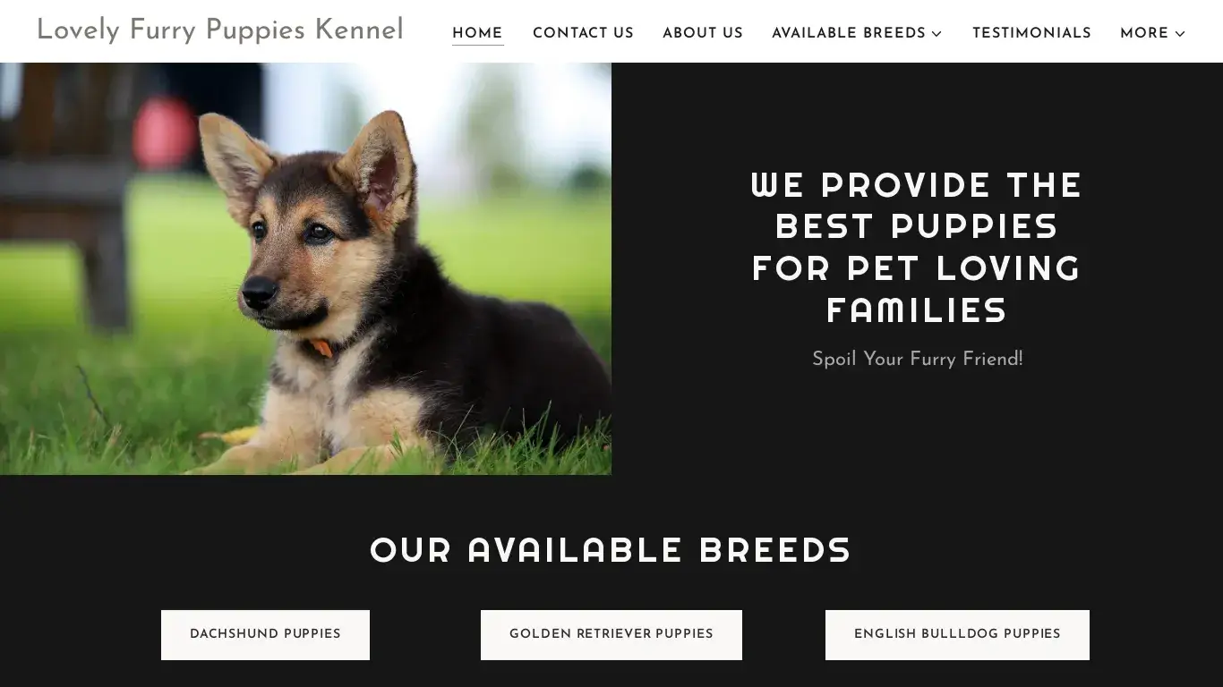 is Lovely Furry Puppies Kennel legit? screenshot