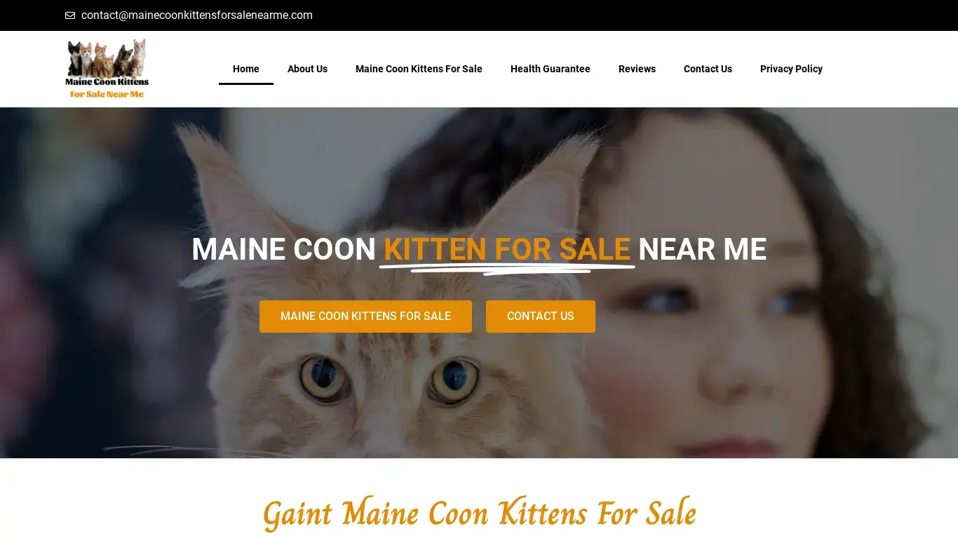 is Maine Coon Kittens For Sale Near Me - Free Delivery legit? screenshot