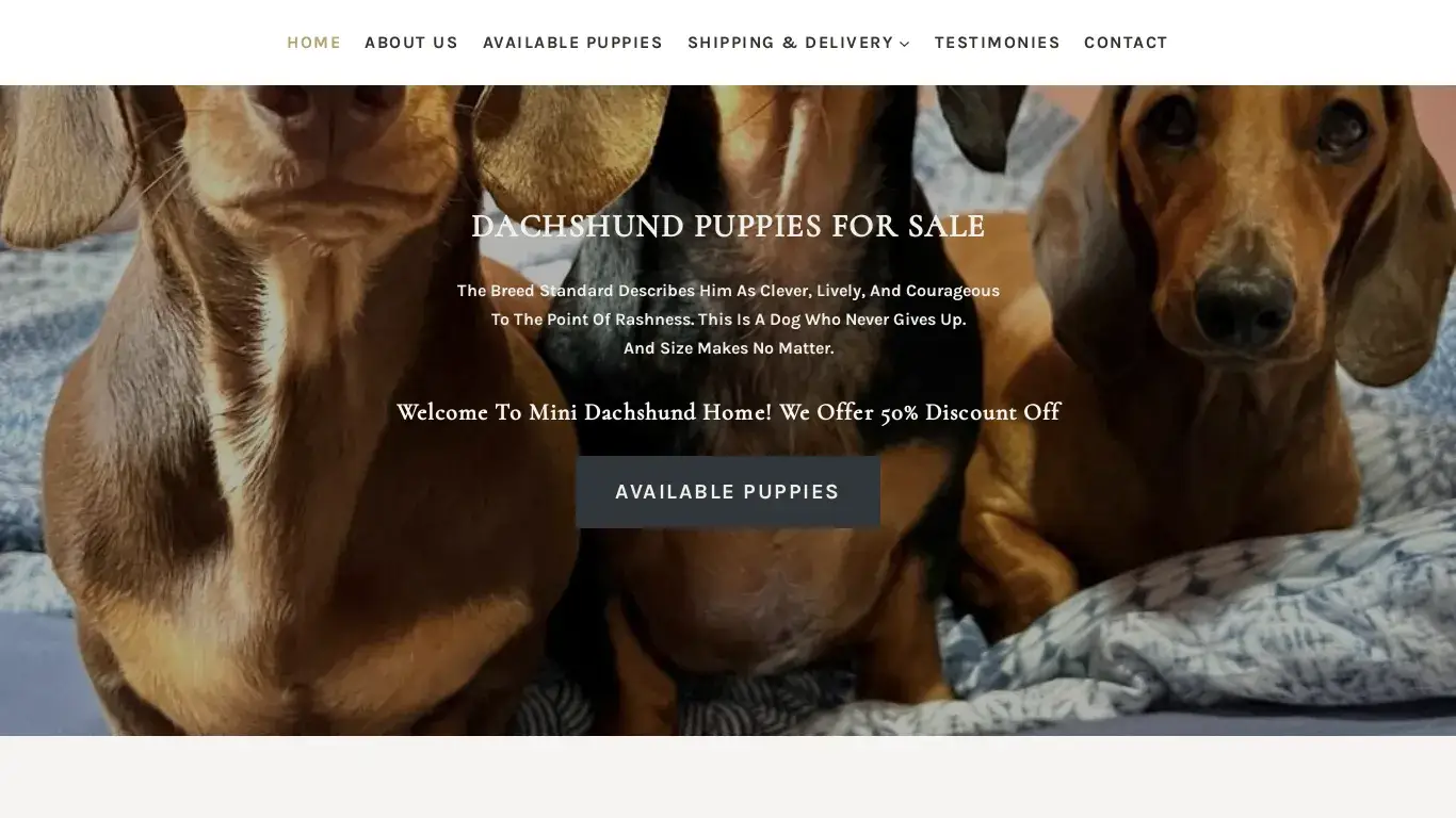 is Dachshund Puppies Breeder – Mini Dachshunds Home legit? screenshot