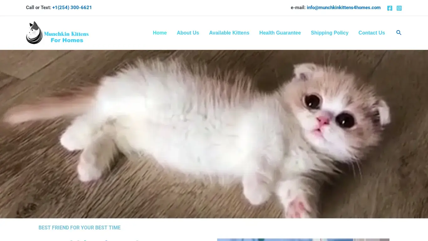 is Home- Munchkin cat for sale | Munchkin kitten for sale legit? screenshot