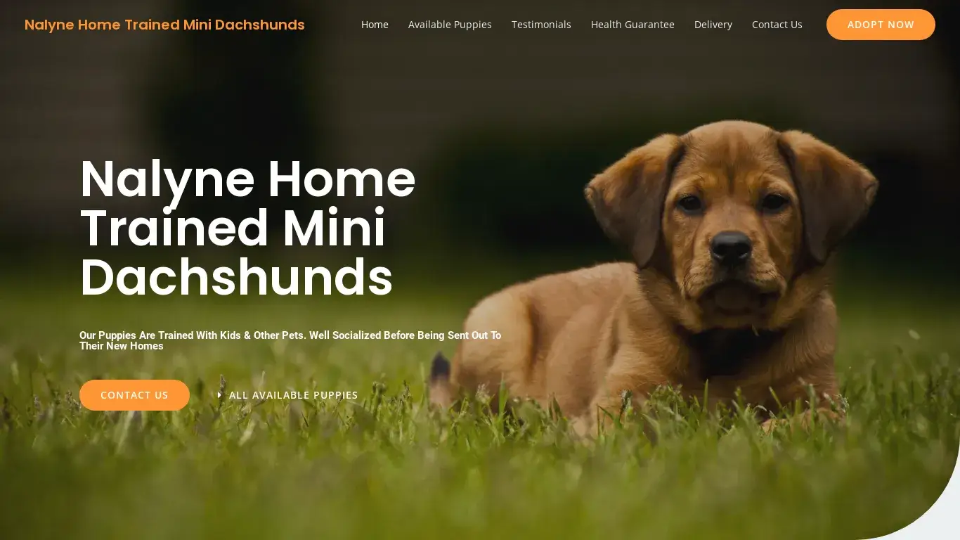 is Nalyne Home Trained Mini Dachshunds – Purebred Dachshund For Sale legit? screenshot