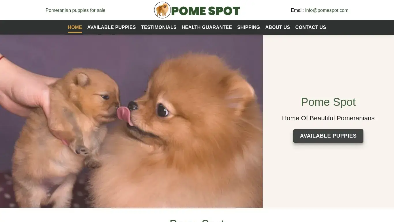is Pome Spot – Pomeranian puppies for sale legit? screenshot