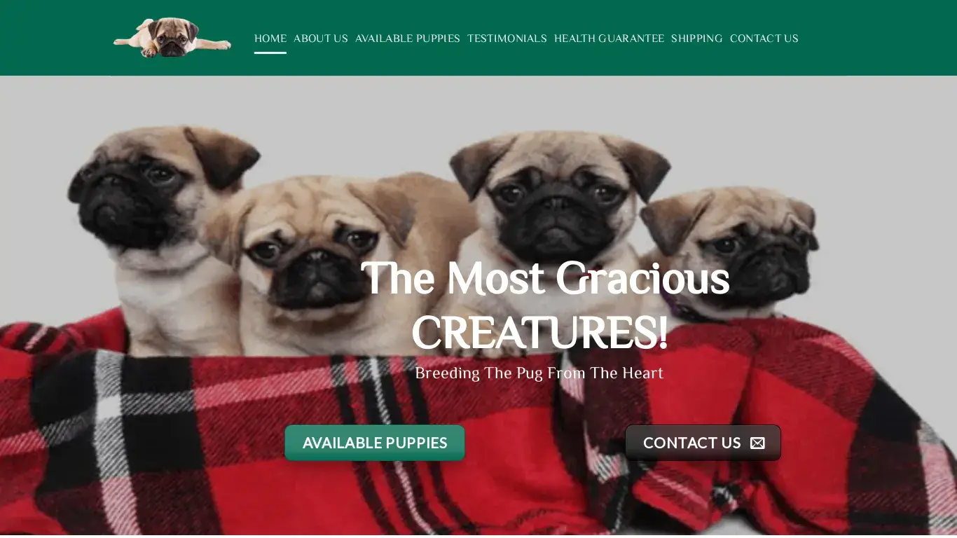 is PUG PUPPY BREEDERS – Pug Puppies For Sale legit? screenshot