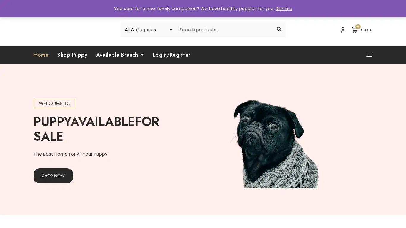 is puppyavailableforsale.com – puppy available for sale Online legit? screenshot