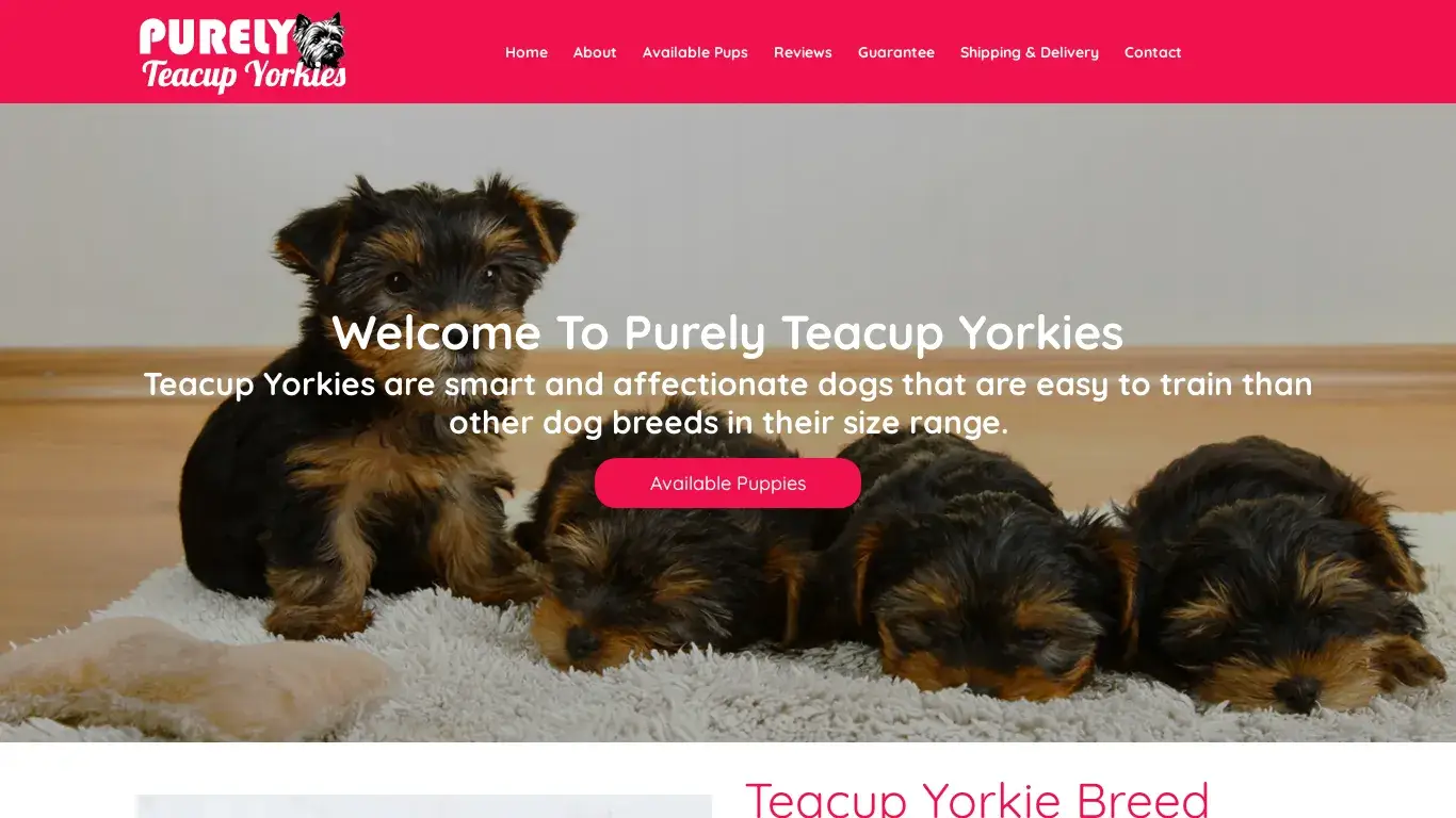 is Home - Purely Teacup Yorkies legit? screenshot