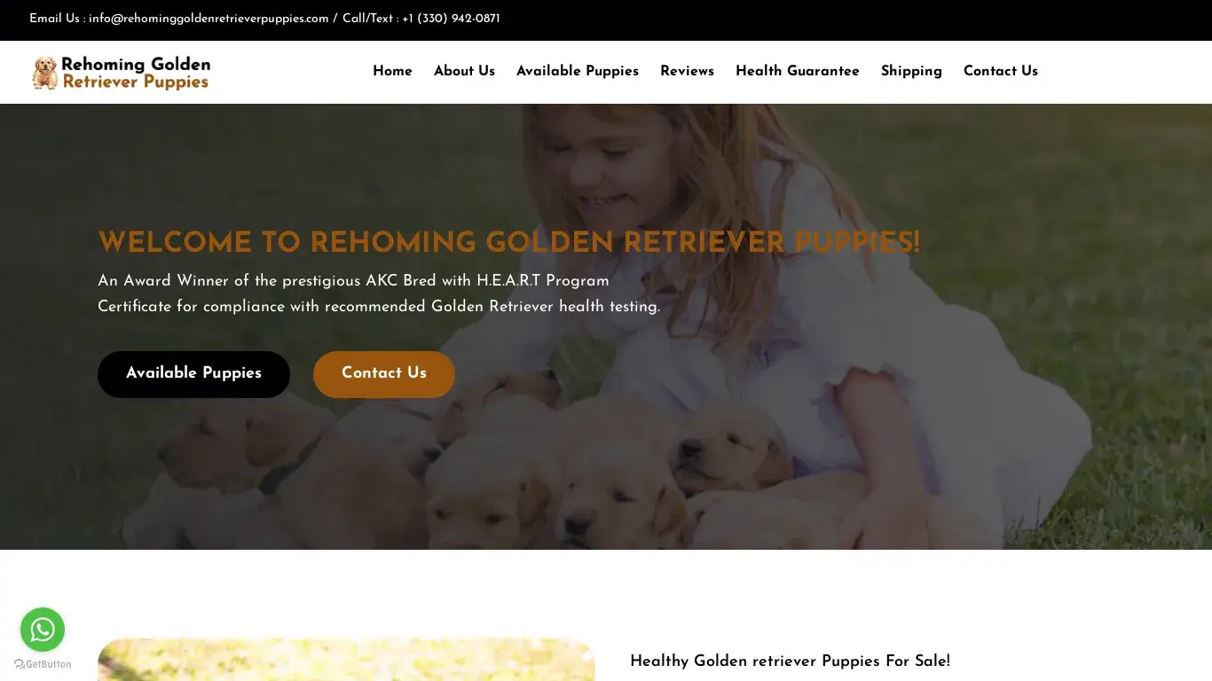 is Welcome | Registered Rehoming Golden retriever Puppies for sale | rehominggoldenretrieverpuppies.com legit? screenshot