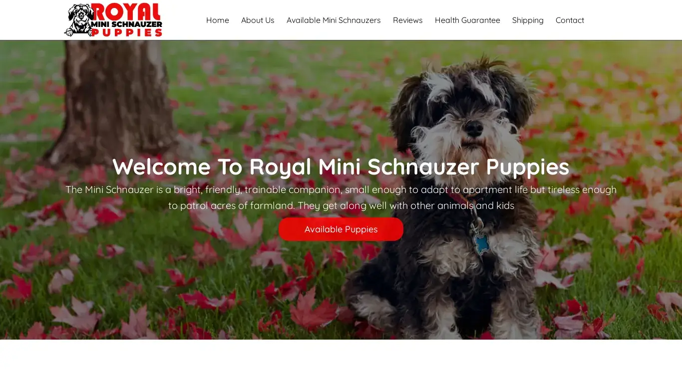 is Home - Royal Mini Schnauzer Puppies legit? screenshot