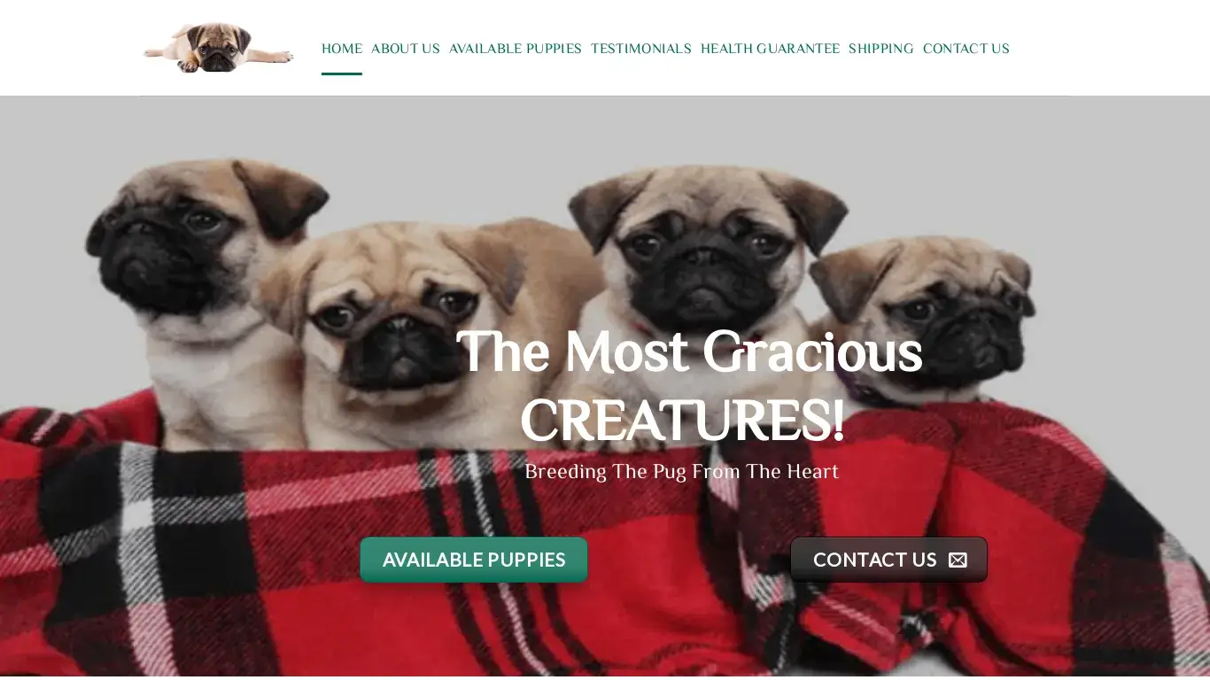 is ROYALTY PUG PUPPIES HOME – Pug Puppies For Sale legit? screenshot