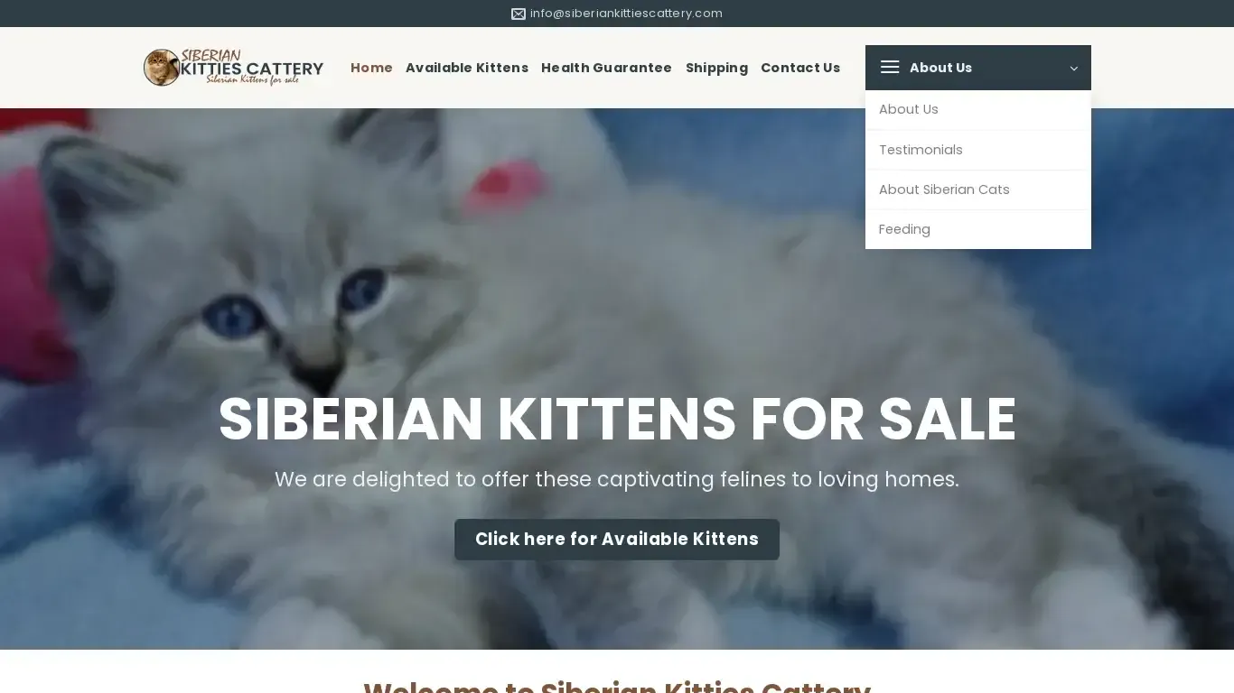 is Siberian Kitties Cattery – Siberian Kittens for sale legit? screenshot