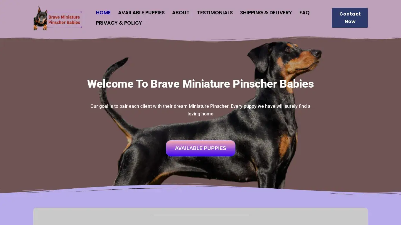 is Brave Miniature Pinscher Puppies – Miniature Pinscher For Sale legit? screenshot