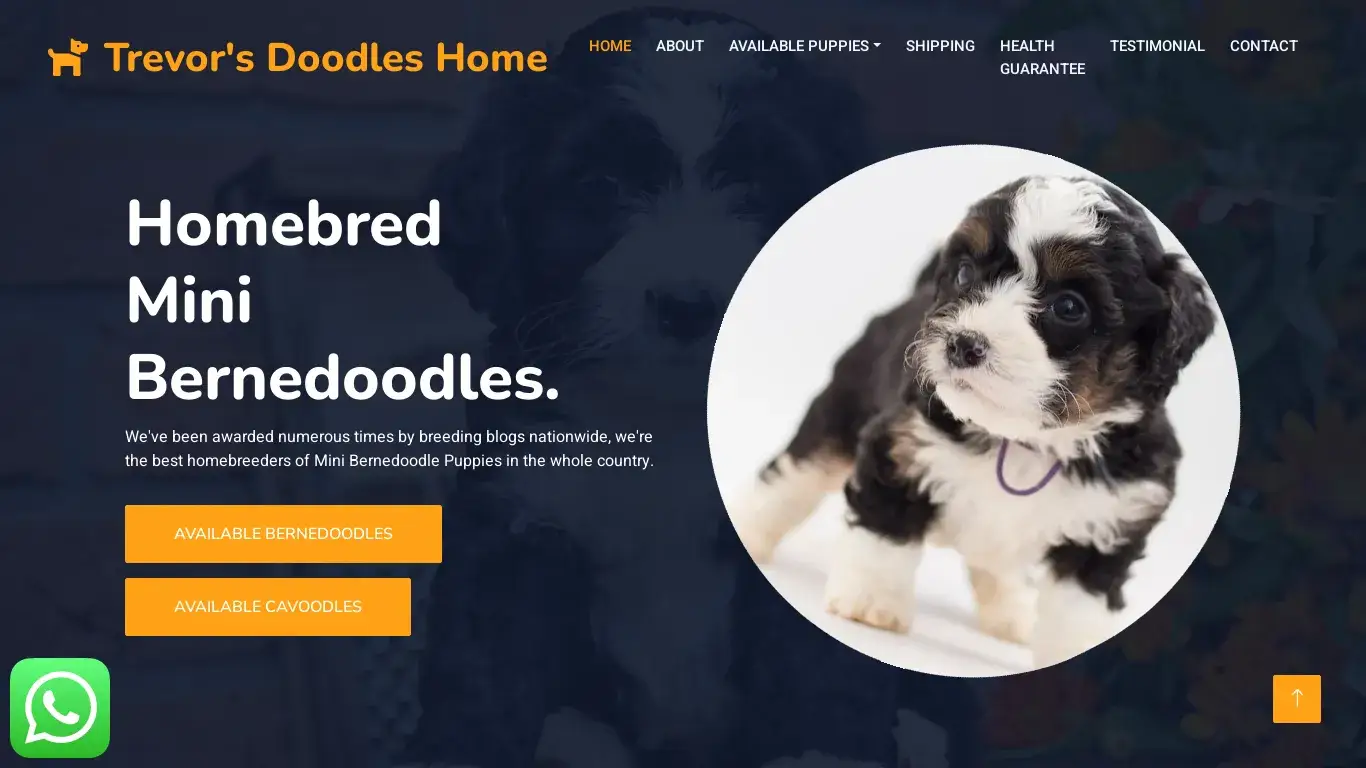 is Trevor's Doodles Home - Homebred Mini Bernedoodle Puppies legit? screenshot