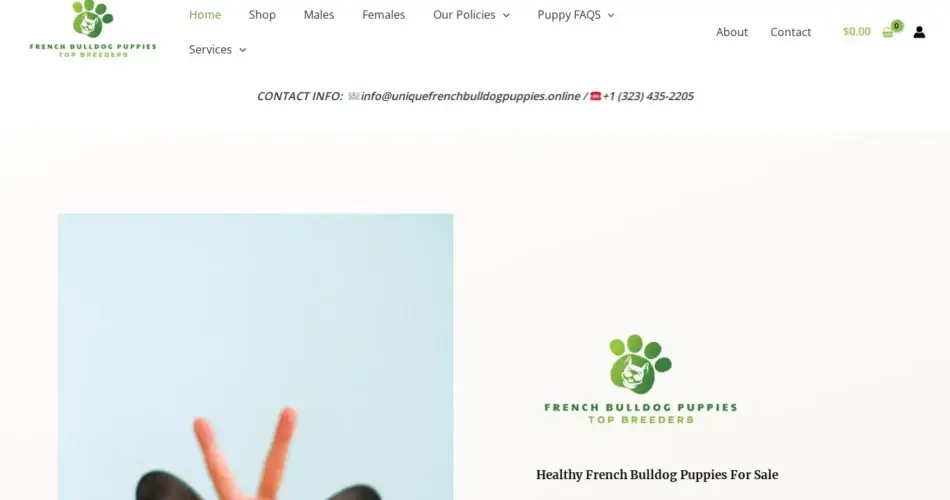 Is Uniquefrenchbulldogpuppies.online legit?