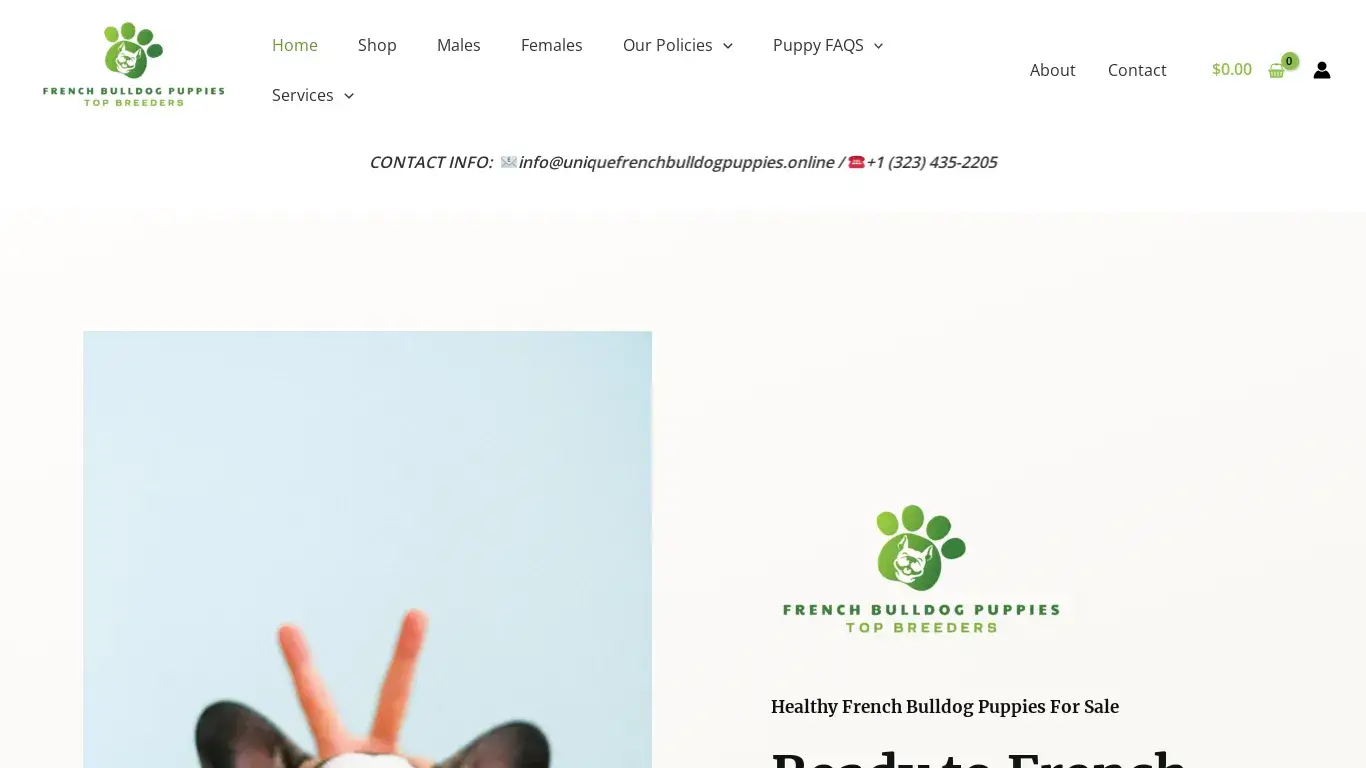 is Home - uniquefrenchbulldogpuppies.online legit? screenshot