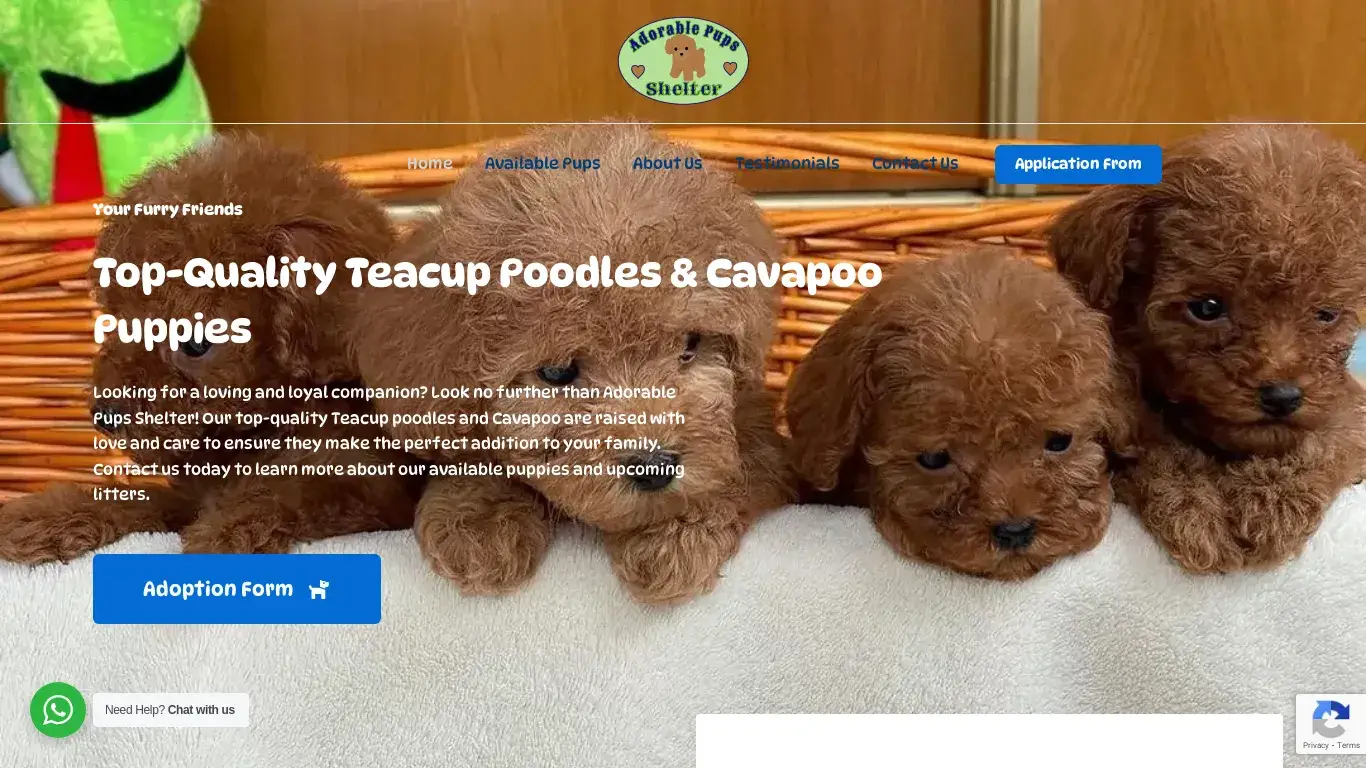 is Adorable Pups Shelter – Teacup poodles for adoption near me, Cavapoo for adoption near me legit? screenshot
