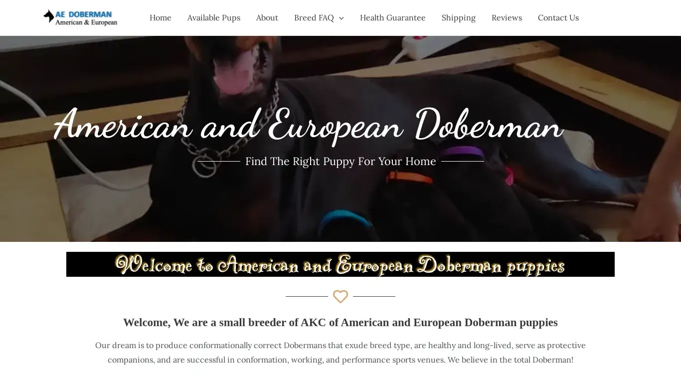 is American and European Doberman legit? screenshot