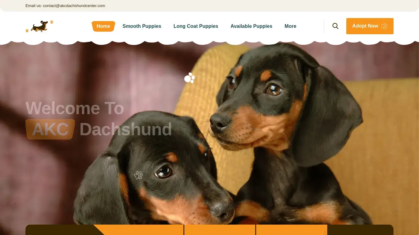 is Akc Dachshund Center | Dachshund puppies available for adoption. legit? screenshot