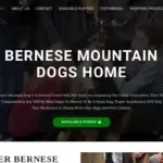 Is Bernesemtdogshome.com legit?