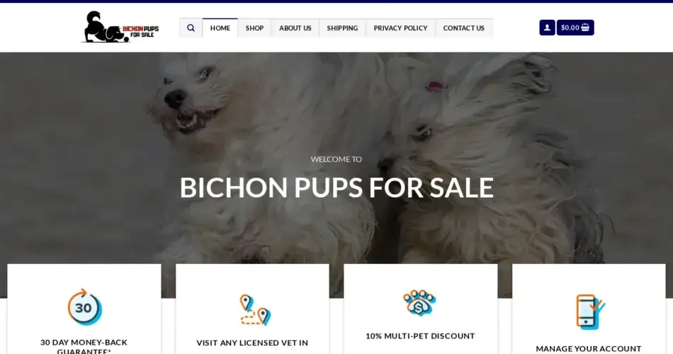 Is Bichonpupsforsale.com legit?
