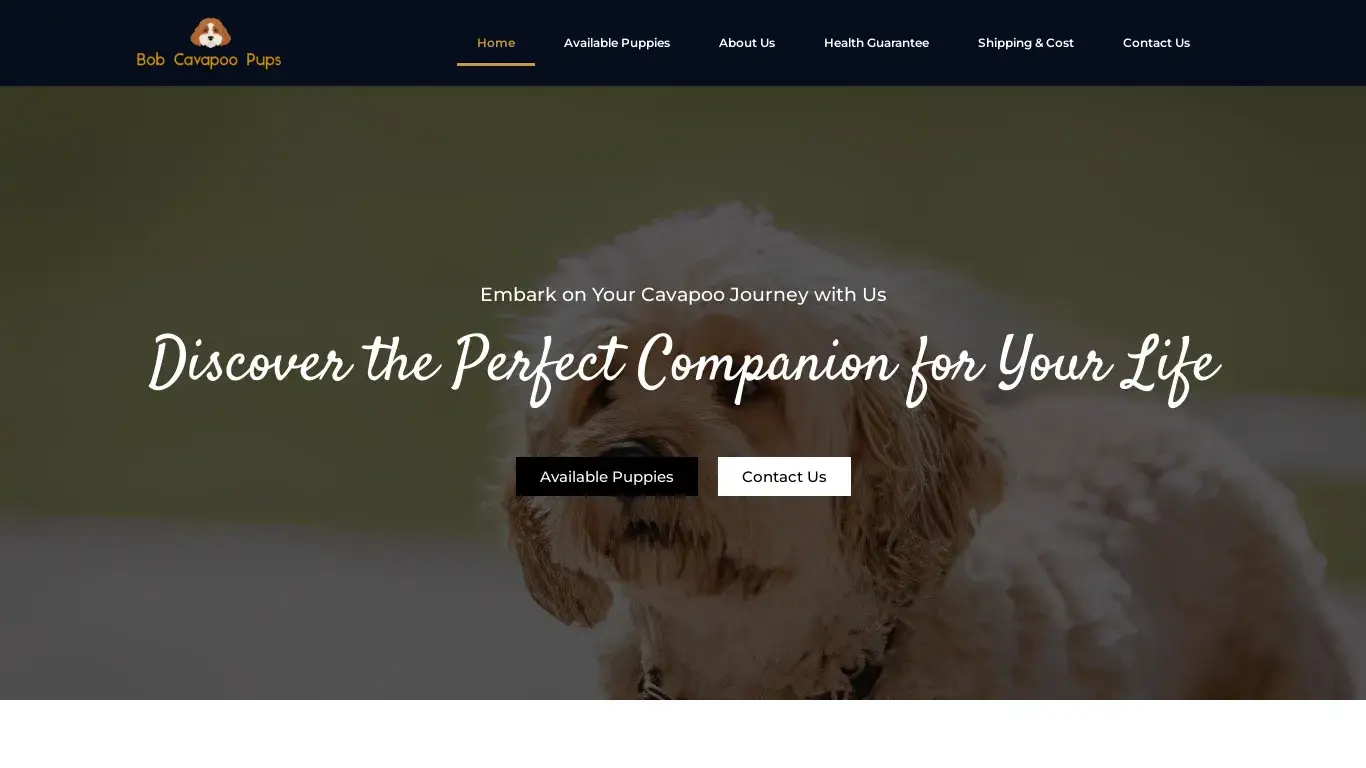 is Bob Cavapoo Pups – Discovery the perfect Companion for your life legit? screenshot
