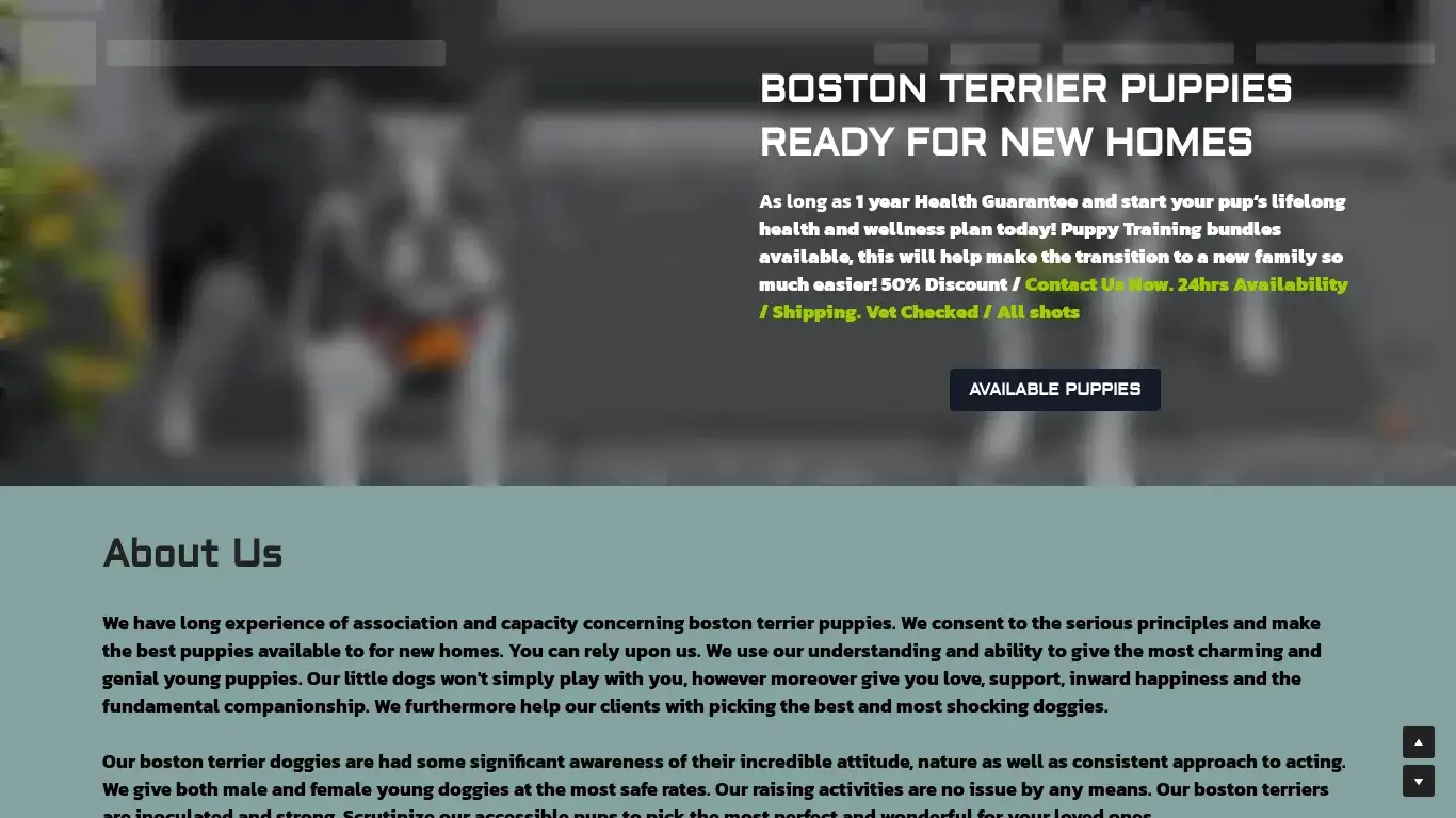 is Boston Terriers For Sale legit? screenshot