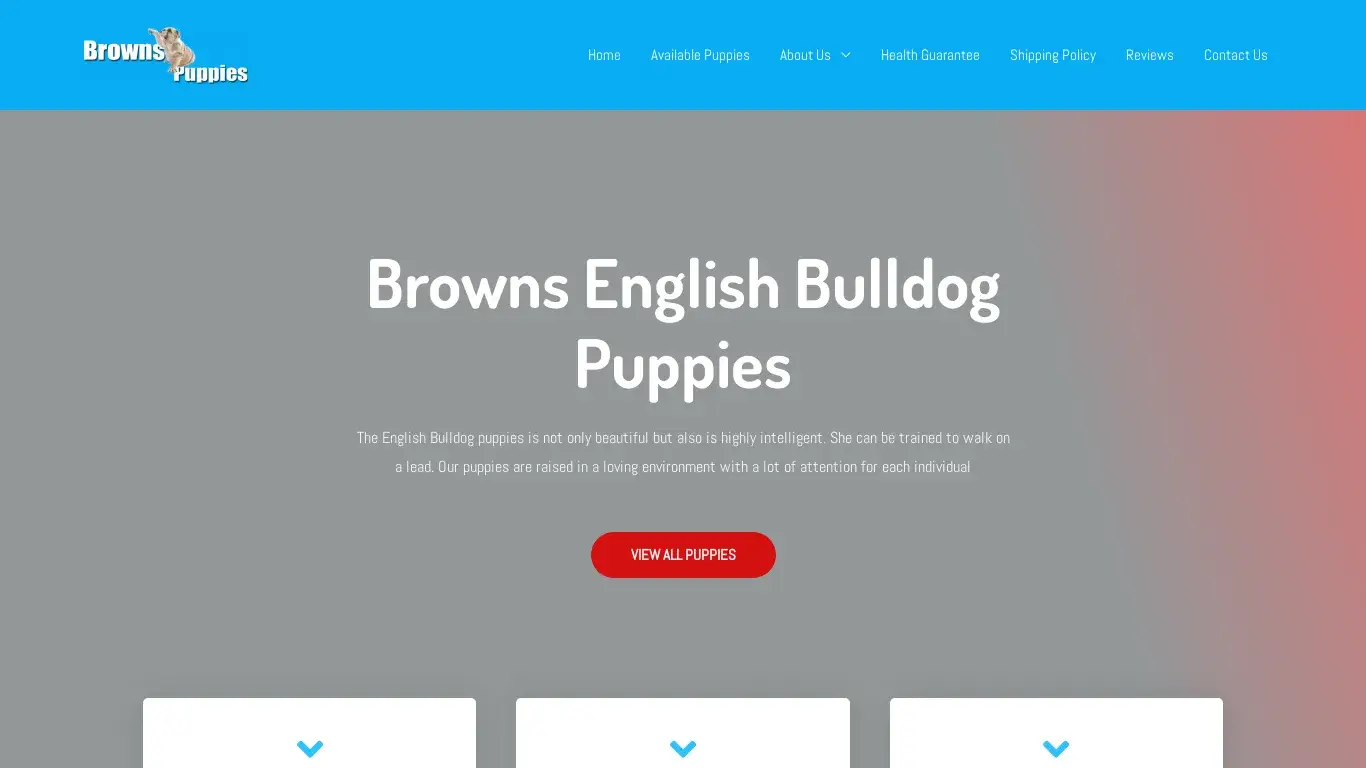 is Browns English Bulldog Puppies – Looking for English bulldog puppy to buy, we have the perfect English bulldog puppy for you. Contact us today! legit? screenshot