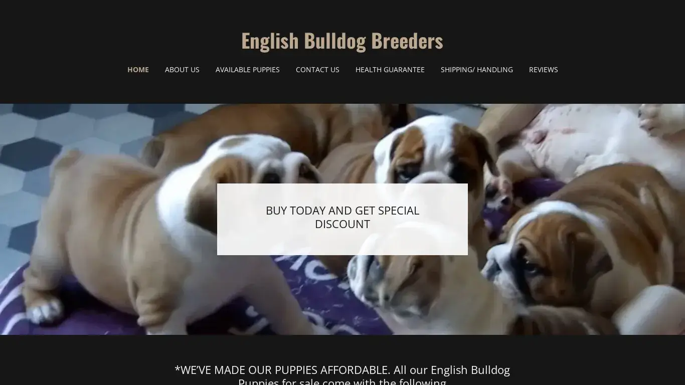 is Reputable English Bulldog breeders legit? screenshot