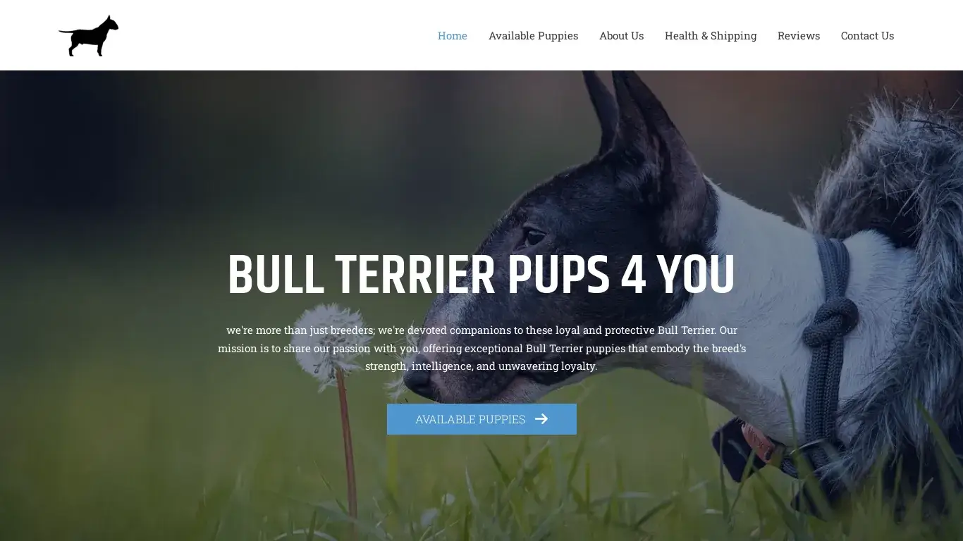is Bull Terrier Pups 4 You – Bringing Bull Terrier Puppies into Your Loving Home! legit? screenshot