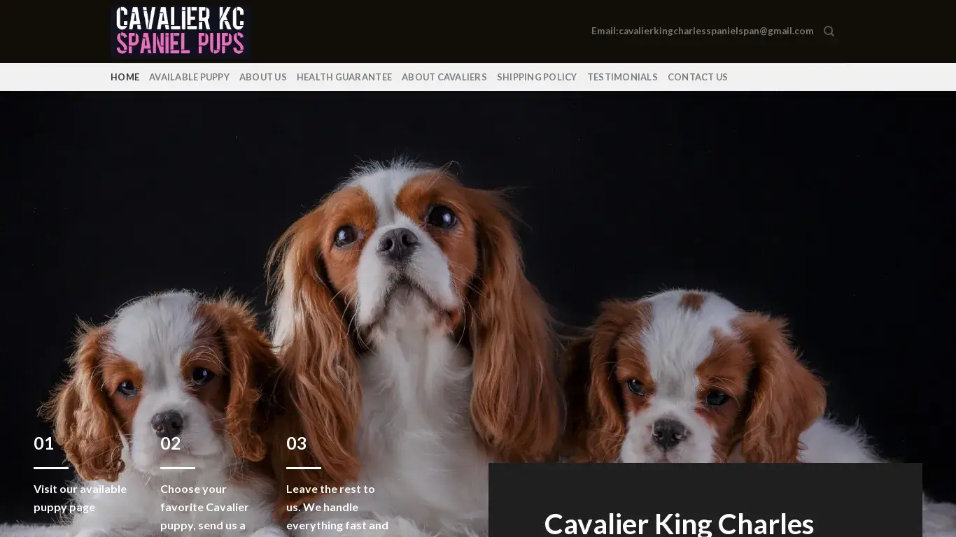 is Cavalier King Chares Spaniel Puppies legit? screenshot