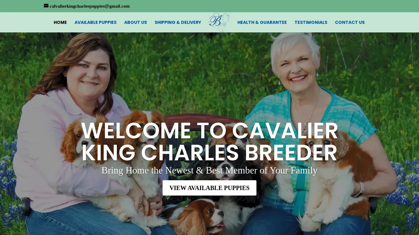 is Cavalier King Charles Breeder | Buy Cavalier King Charles from the best Breeder around you legit? screenshot