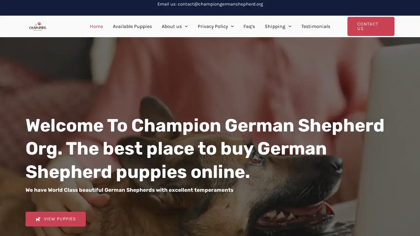 is German Shepherds For Sale | Champion German Shepherds legit? screenshot