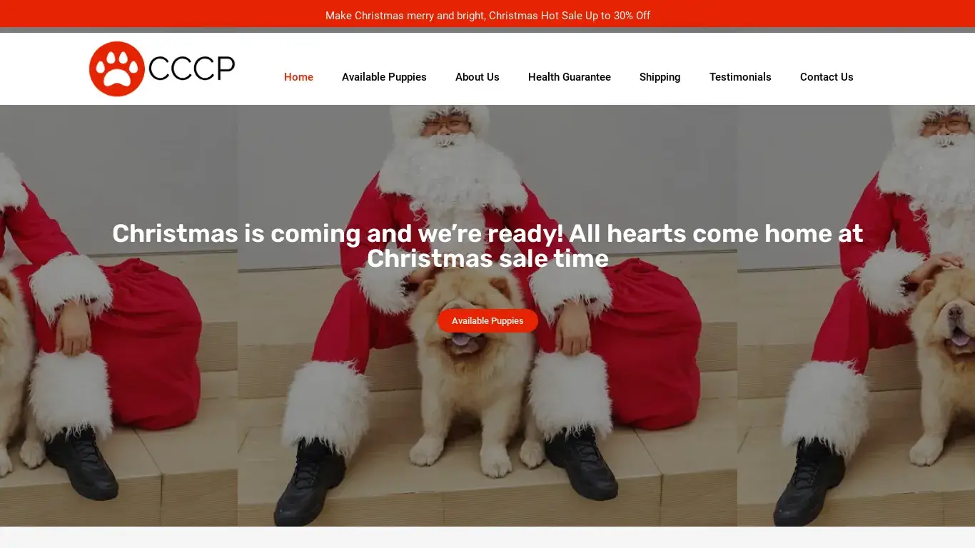 is Christmas Chow Chow Puppies – Welcome | The Best Chow ChowBreeder Online legit? screenshot