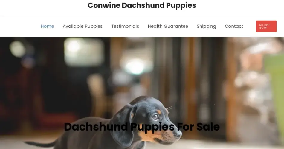 Is Conwinedachshundpuppies.com legit?