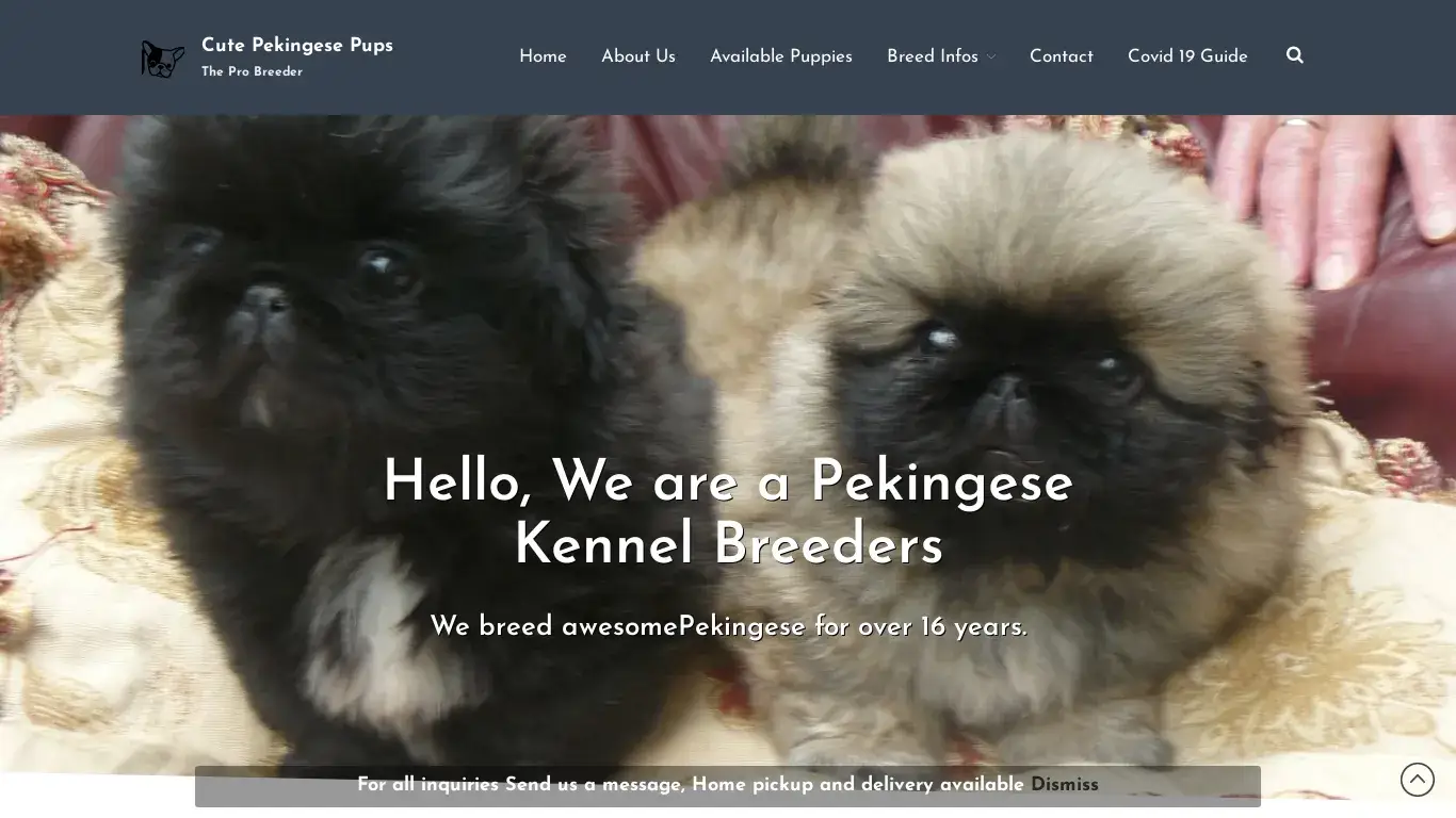 is Home - Cute Pekingese Pups legit? screenshot