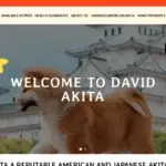 Is Davidakita.com legit?