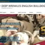Is Deepwrinklesenglishbulldog.com legit?