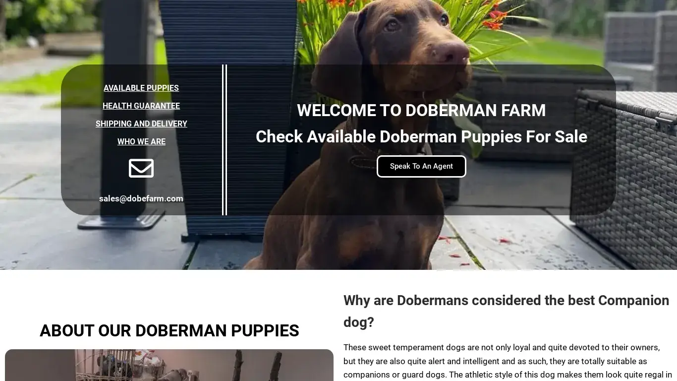 is dobermanfarm – Doberman Breed Farm Puppies For Sale legit? screenshot