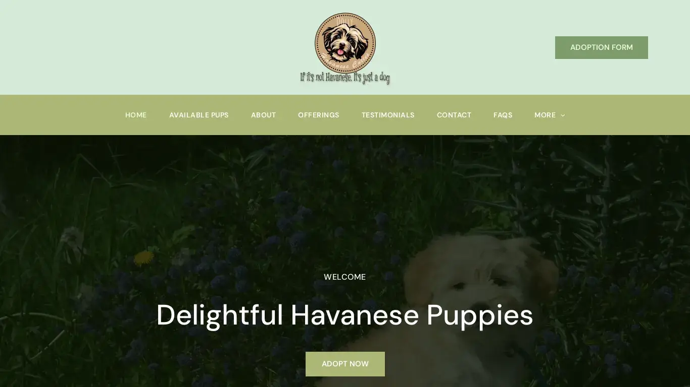 is Dolly Havanese Cuties – Havanese Puppies for adoption legit? screenshot
