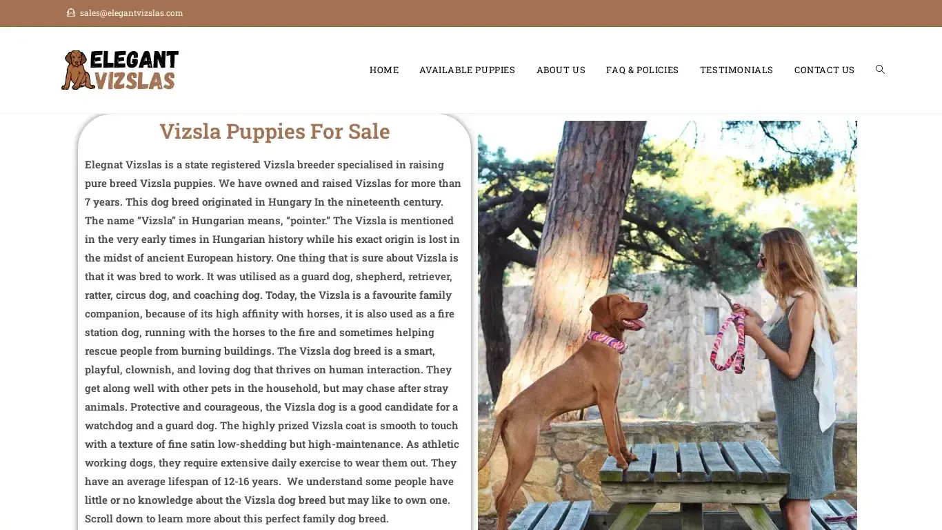 is Elegant Vizslas – Licensed Vizsla Breeders legit? screenshot