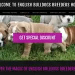 Is Englishbulldogsbreeds.com legit?