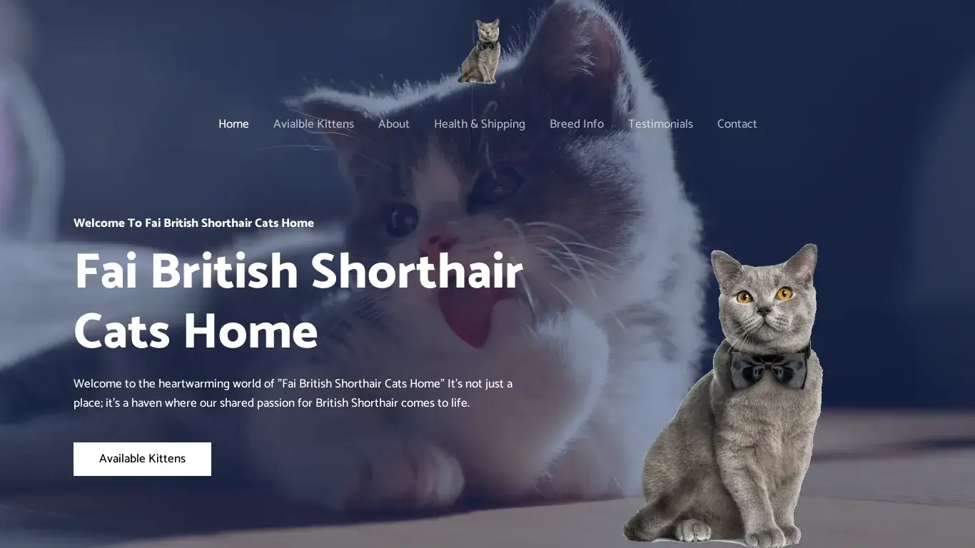 is Fai British Shorthair Cats Home legit? screenshot