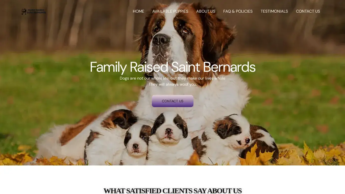 is Family Raised Saint Bernard Puppies legit? screenshot