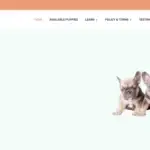 Is Frenchbulldogpupps.com legit?