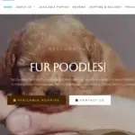 Is Furpoodles.com legit?
