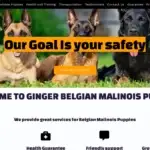 Is Gingermalinois.com legit?