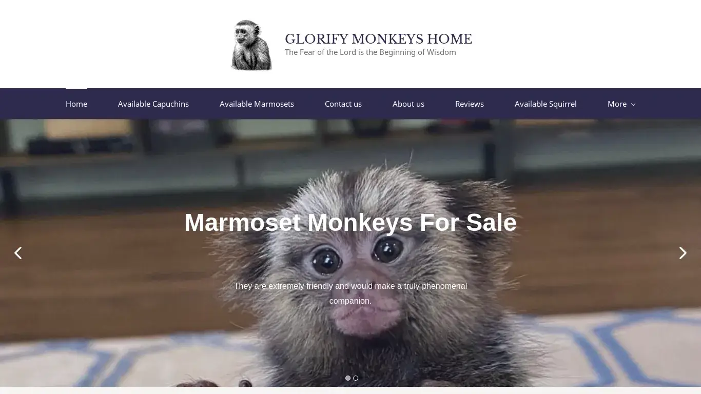 is glorifymonkeyshome.com legit? screenshot
