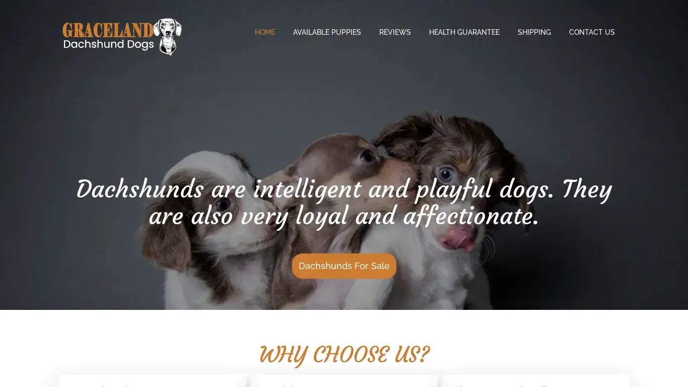 is Welcome - Graceland Dachshund Dogs legit? screenshot