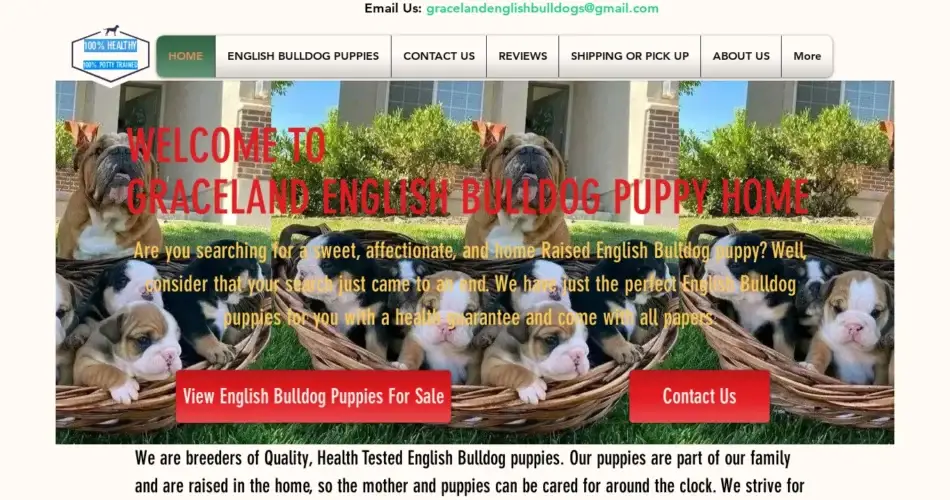 Is Gracelandenglishbulldogs.com legit?
