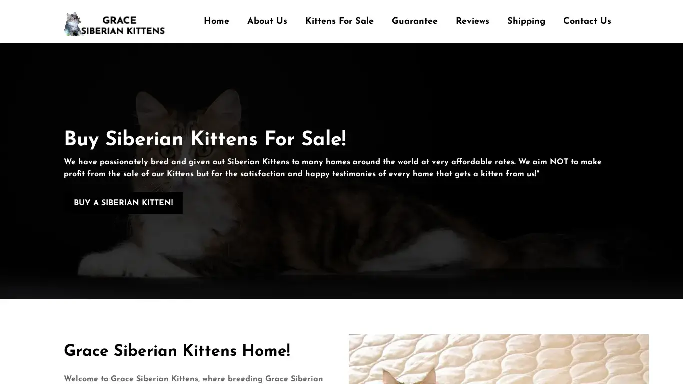 is Welcome | Grace Siberian Kittens | gracesiberiankittens.com legit? screenshot