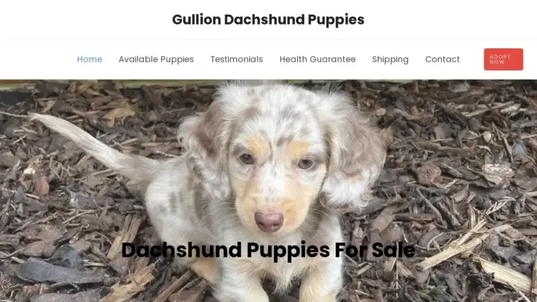 Gulliondachshundpuppies.com